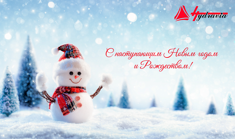 С наступающим Новым годом и Рождеством!