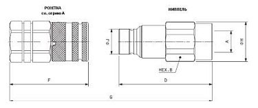 APM BSP