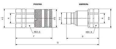 A BSP