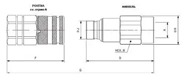 APM BSP